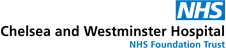 Main Survey Logo