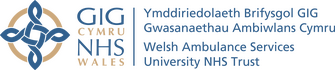 Main Survey Logo